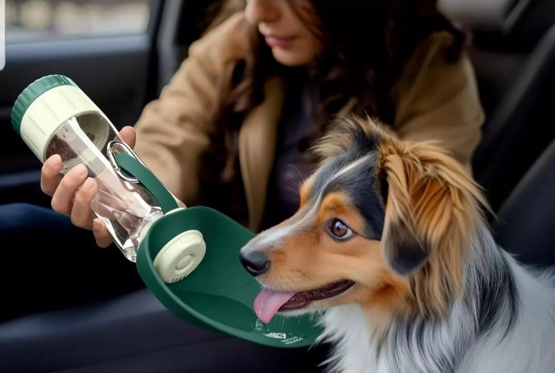 be29f429873c99091e0f6e875c7ed768 be29f429873c99091e0f6e875c7ed768